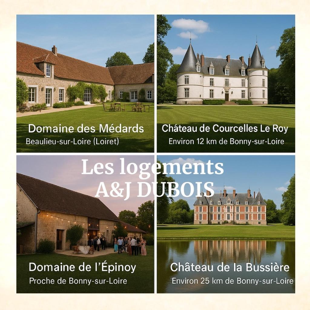 Вилла A&J Family - Neuvy Sur Loire - Guedelon Экстерьер фото